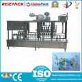 Plastic Box Fill and Seal Machine (RZP)